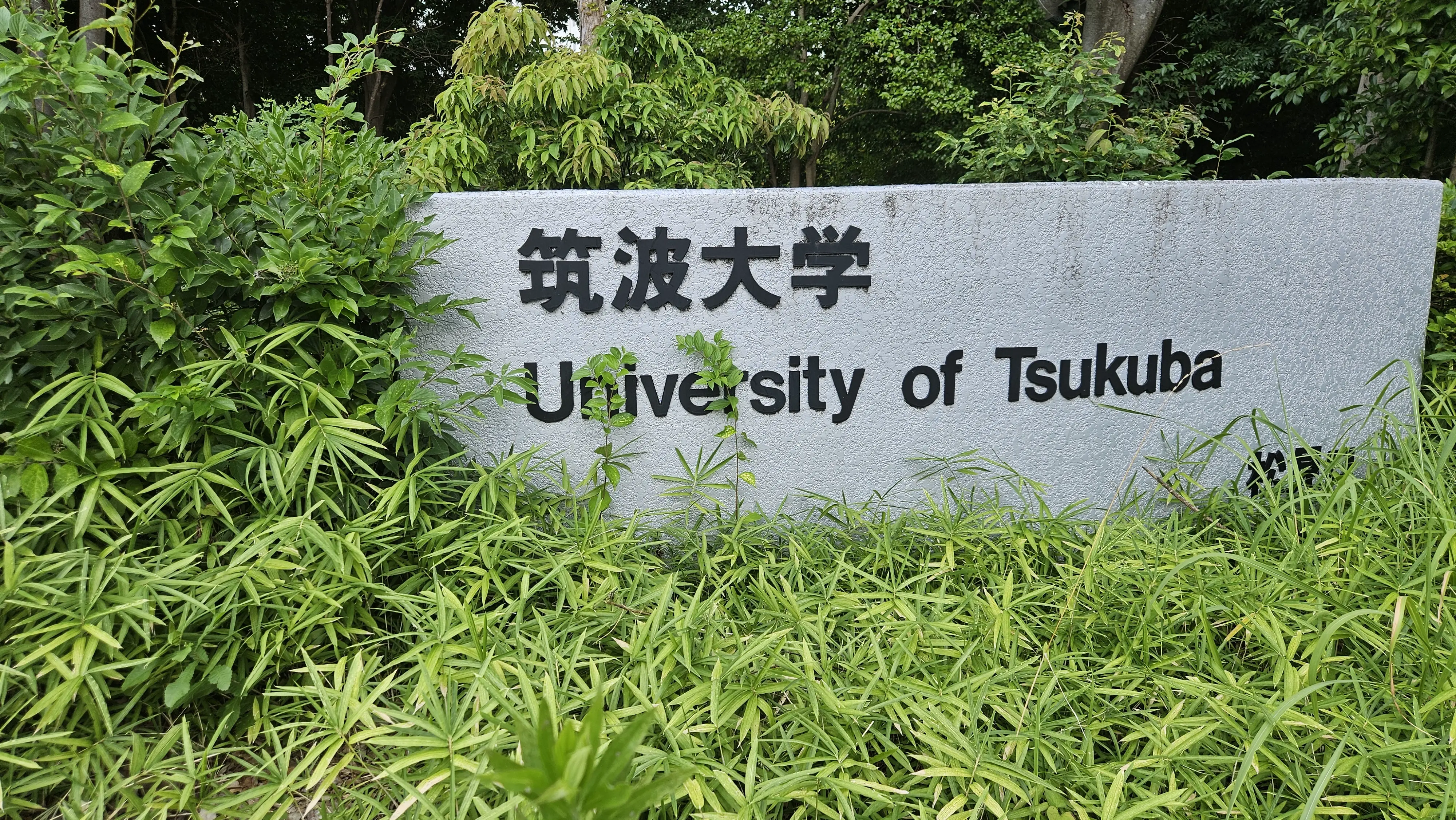 大学に合格しました